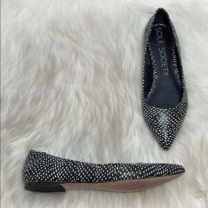Sole‎ Society Quinn Black Flecked Ballet Fl…